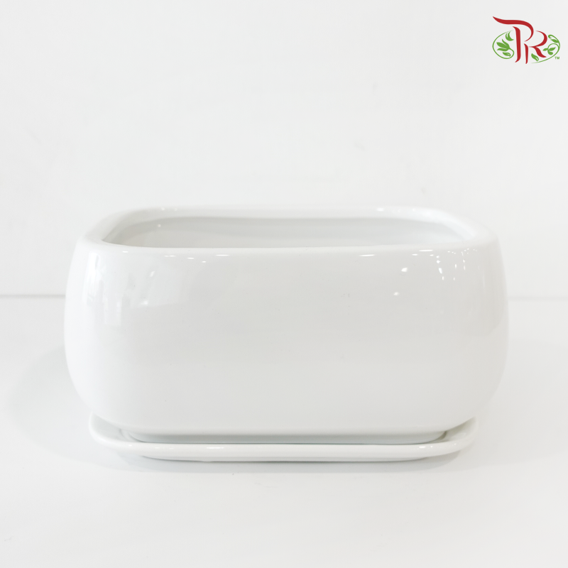 HS-127 White Pot