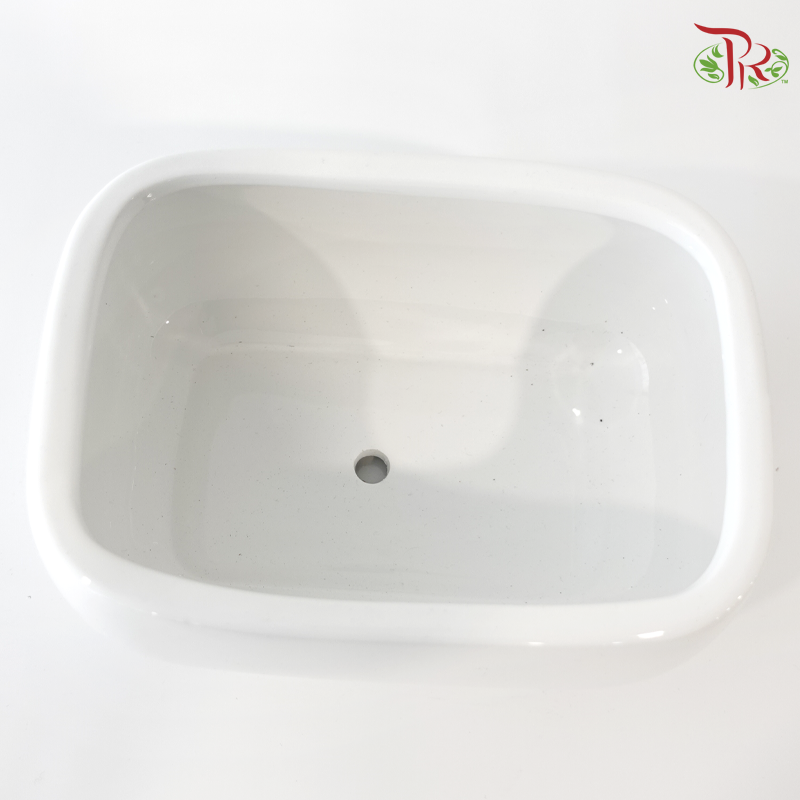 HS-127 White Pot