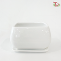 HS-134 White Pot