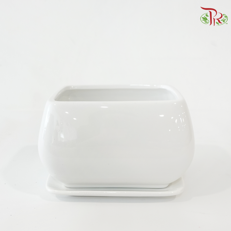 HS-134 White Pot