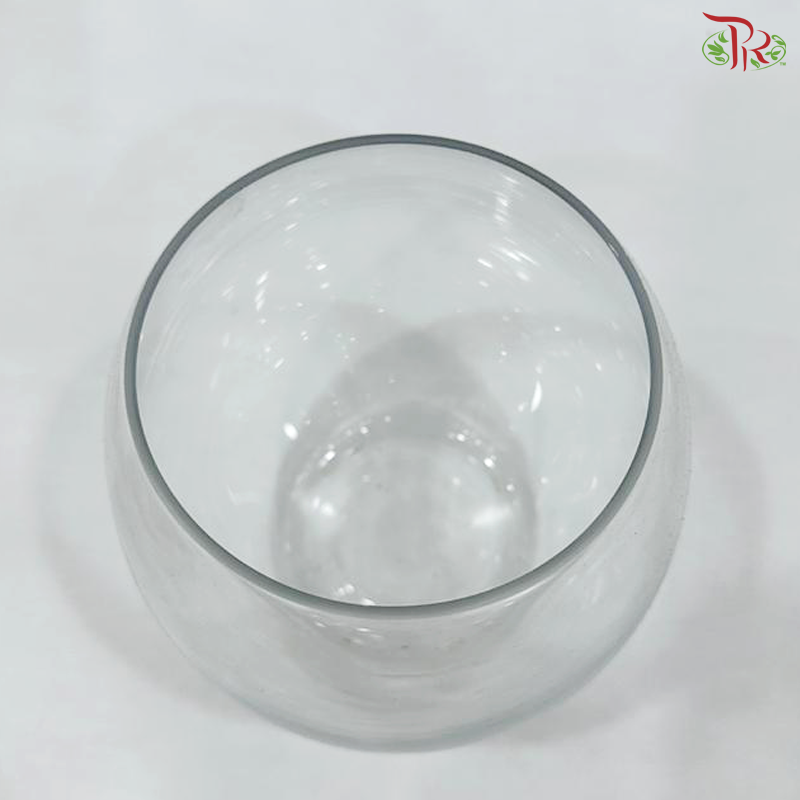 HS195515/48 Clear Vase