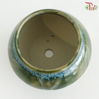 HY-J039 - Brushing Glaze Pot (HY-J039)