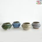 HY-J039 - Brushing Glaze Pot (HY-J039)