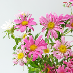 Hana - Pink (Per Bunch)