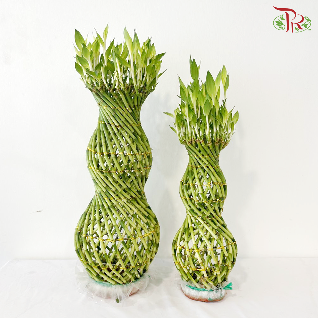 Hulo Bamboo  - (With Size Option)