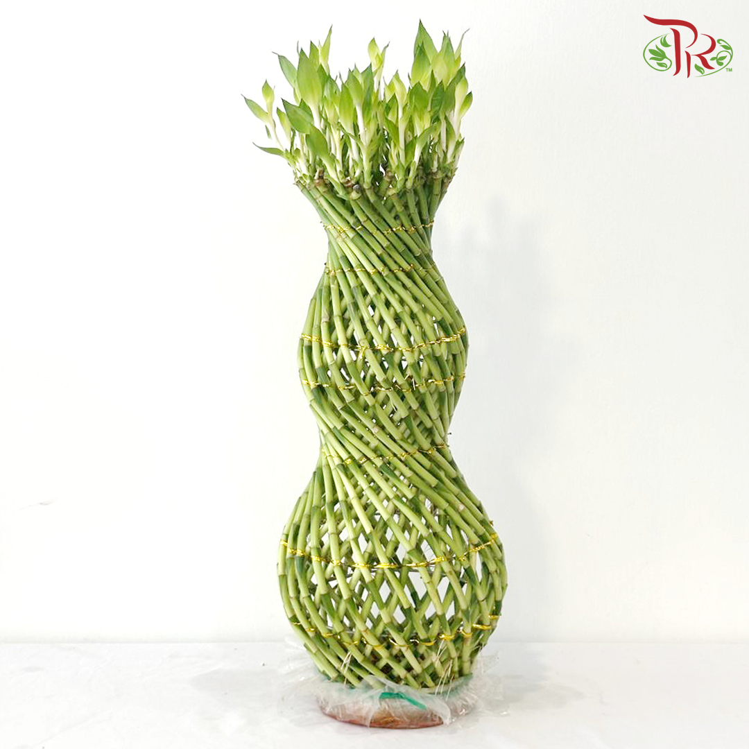 Hu Lu Bamboo 葫芦竹 (With Size Option)