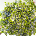 Hydrangea - Bicolour Light Green & Blue (Per Stem)