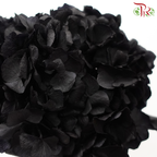 Preserved Hydrangea - Black (Per Stem)