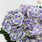 Hydrangea - Bluish Purple With Outline (Per Stem)
