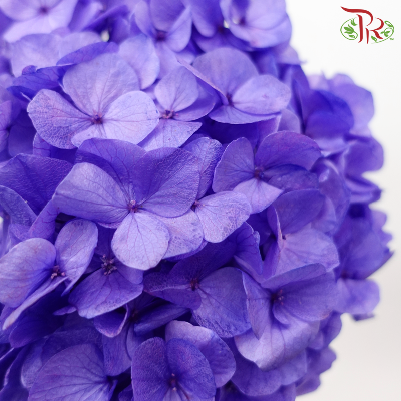Preserved Hydrangea - Iris Purple (Per Stem)