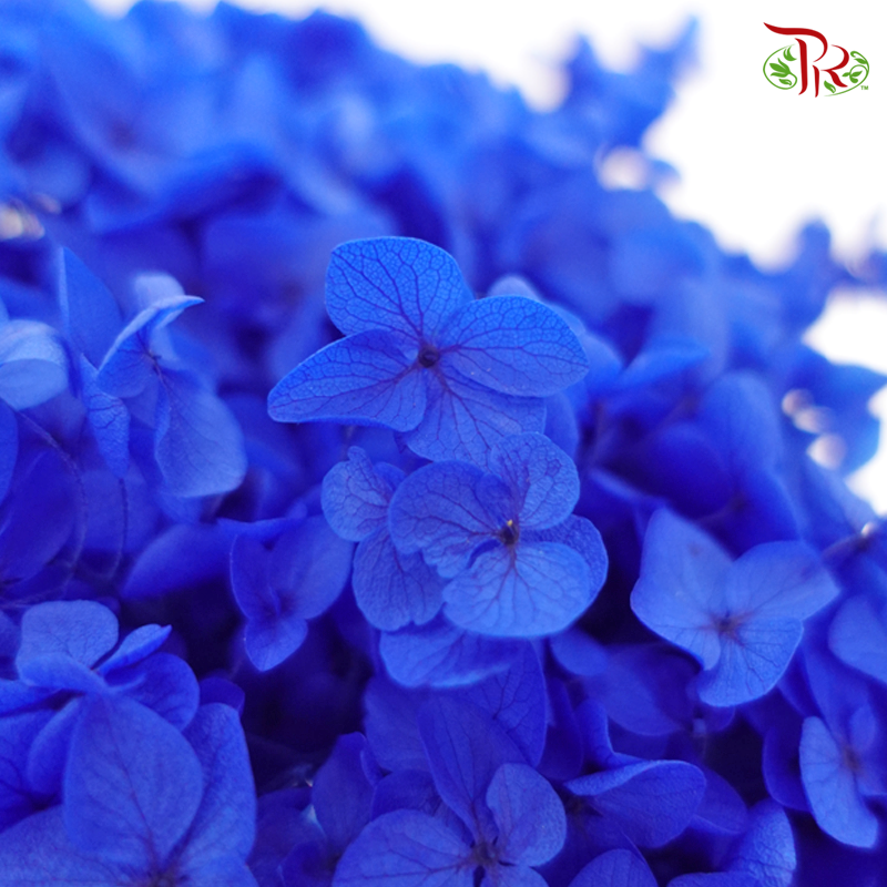 Preserved Hydrangea - Blue (Per Stem) - Pudu Ria Florist