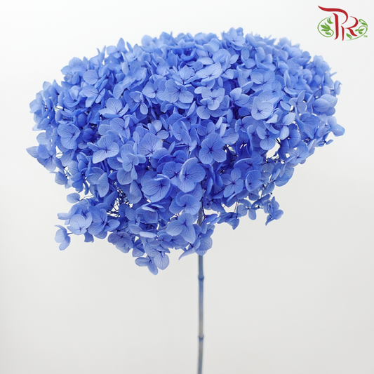 Preserved Hydrangea - Cornflower Blue (Per Stem)