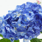 Hydrangea - Tufts Blue (Per Stem)