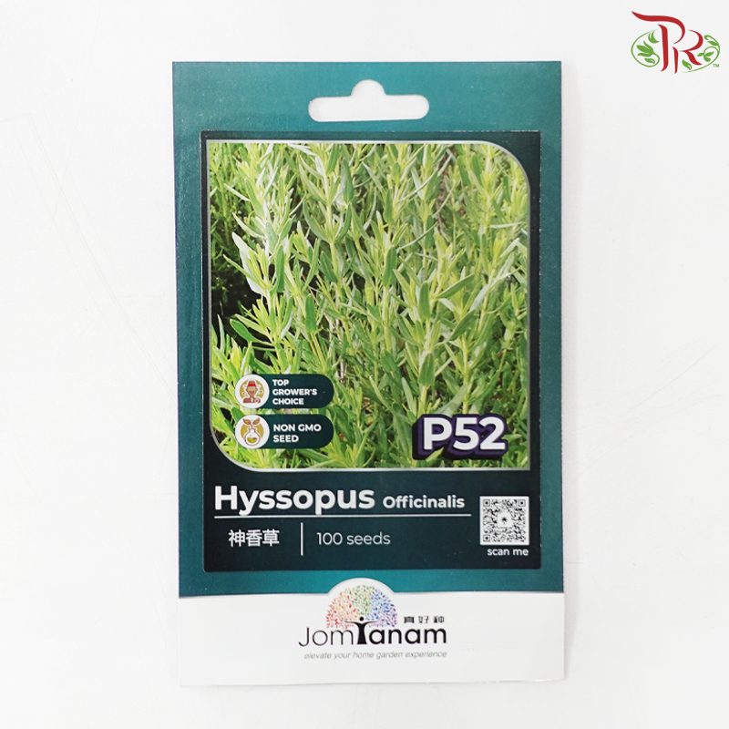 【Jom Tanam Seeds】Herbs Series (Per Pack) (With Options)
