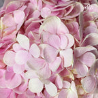 Hydrangea - Light Pink ( Per Stem )