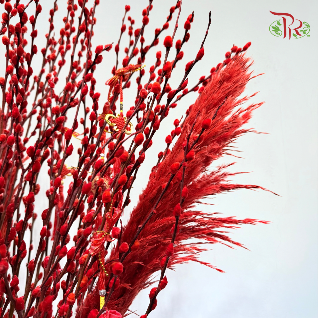 【CNY 2026】Red Plume Prosperity Pussy Willow (M - L size)《红羽展福银柳》