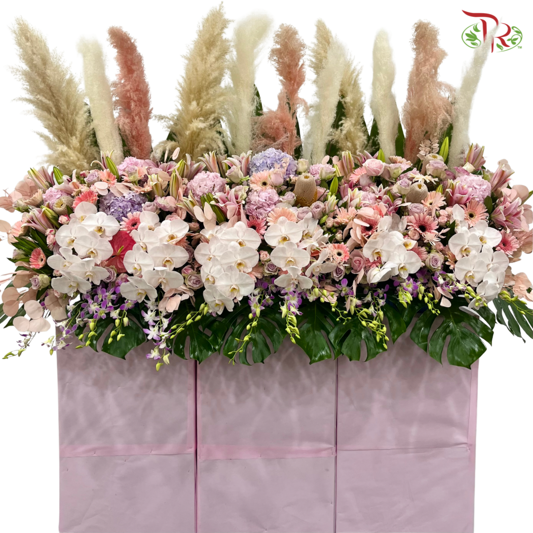 Deluxe Opening Stand - Grand Celebration