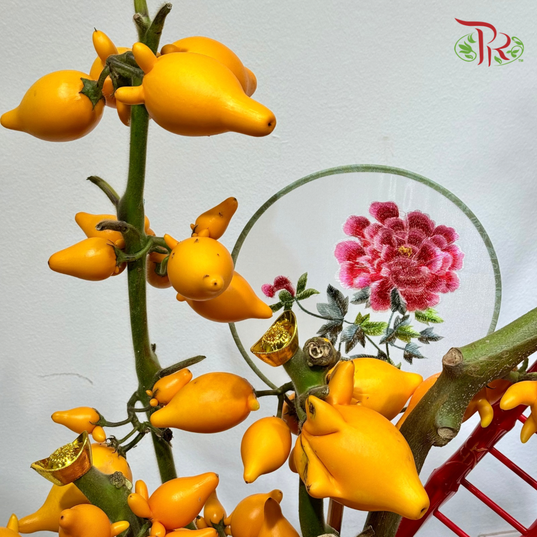 【CNY 2026】Step by Step Fortune · Golden Abundance (M size)《步步招财 · 金玉满堂》