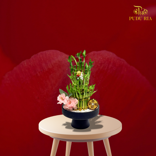 【CNY 2026】Blessed Fortune Palm (S size)《佛手纳福 》