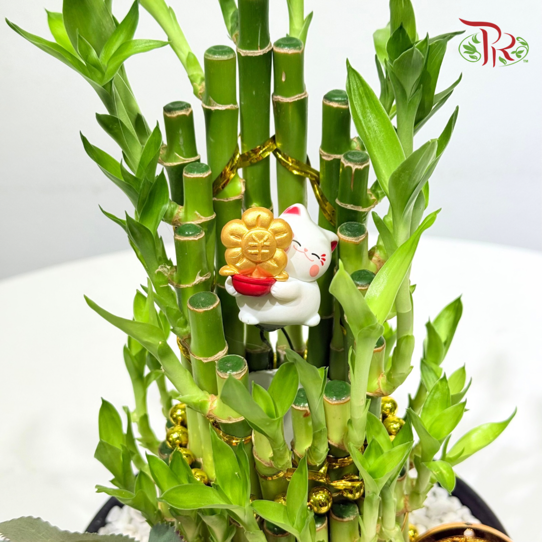 【CNY 2026】Blessed Fortune Palm (S size)《佛手纳福 》