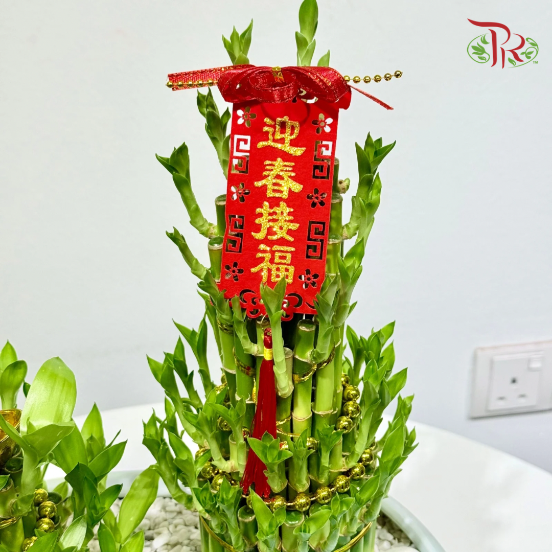 【CNY 2026】Triple Bamboo of Blessings (M size)《福满三竹》