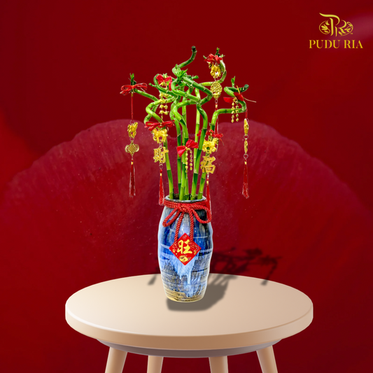 【CNY 2026】Golden Fortune Lucky Bamboo (M size)《富贵转运·金竹纳福》