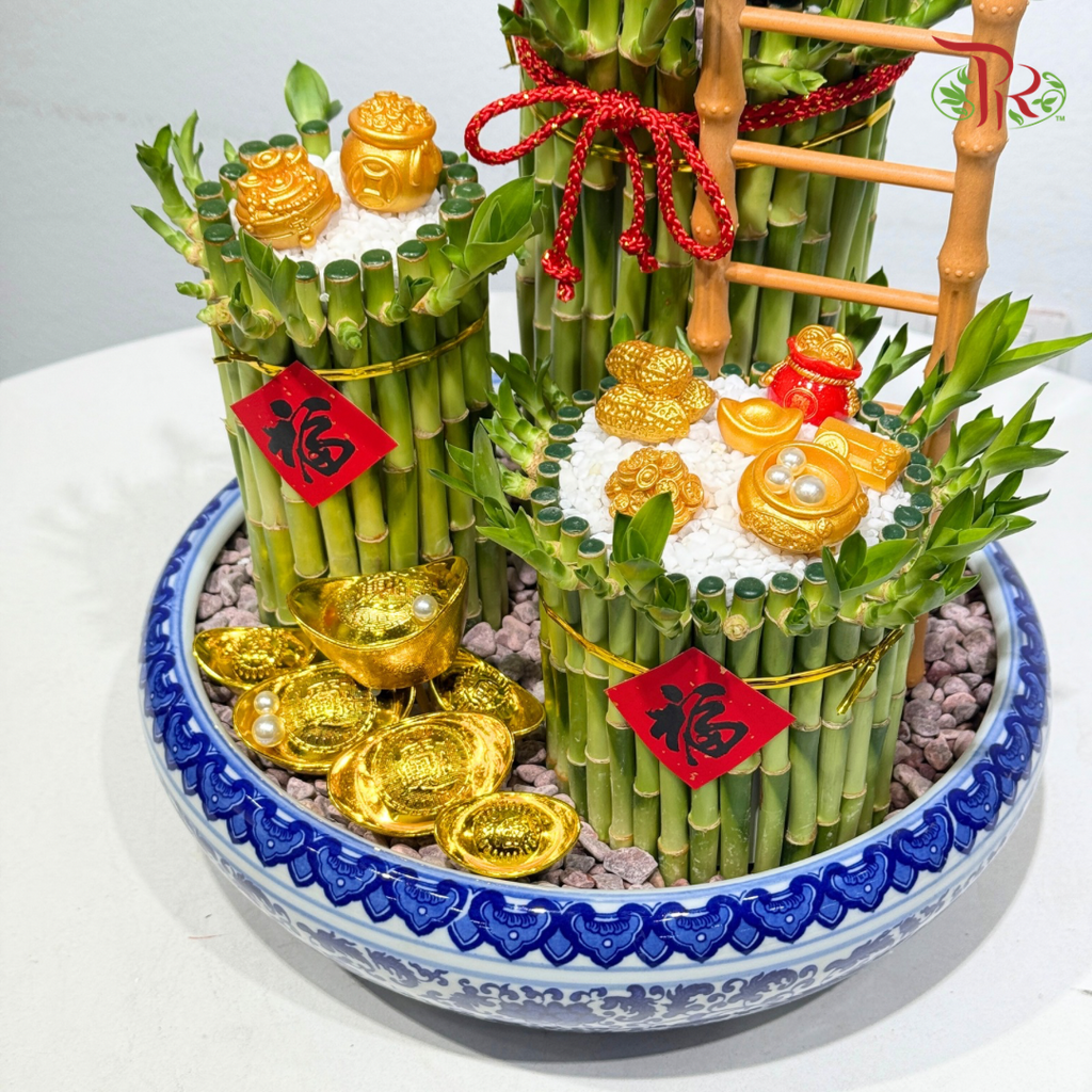 Fortune Rising Bamboo Arrangement《招财步步高 · 富贵竹摆设》