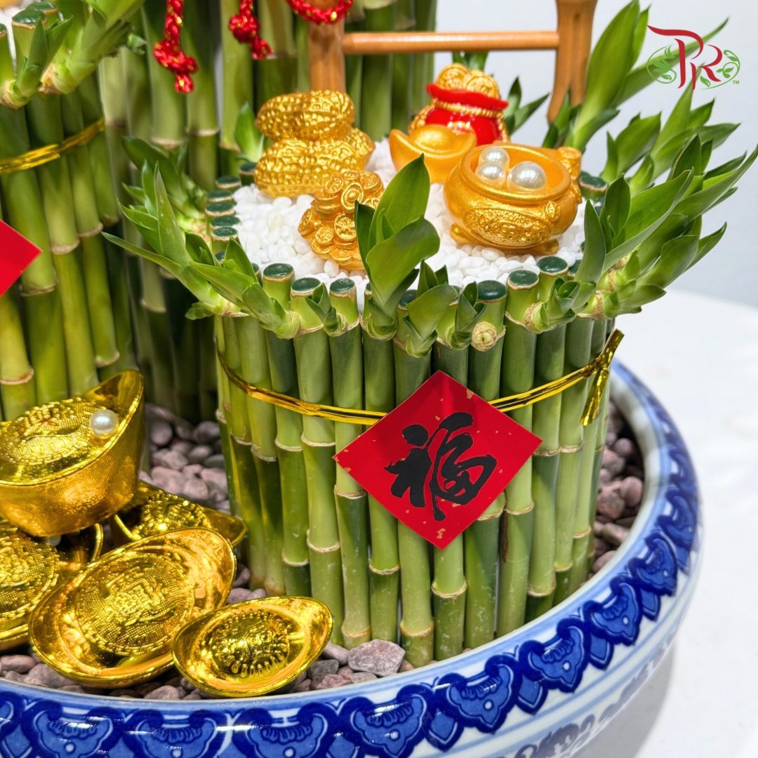 Fortune Rising Bamboo Arrangement《招财步步高 · 富贵竹摆设》