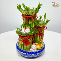 Triple Fortune Lucky Bamboo Arrangement《三福聚财 · 富贵竹摆设》