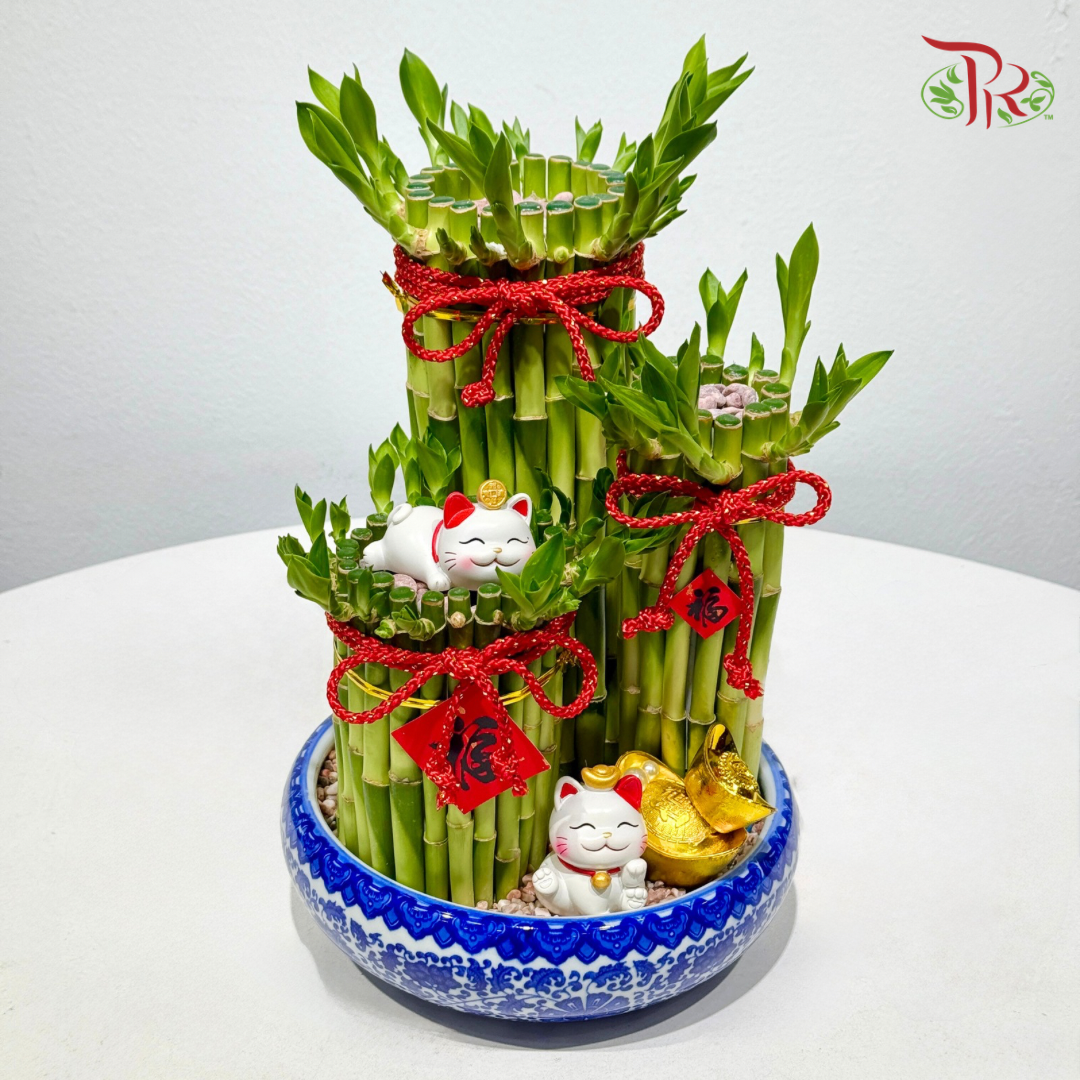 Triple Fortune Lucky Bamboo Arrangement《三福聚财 · 富贵竹摆设》