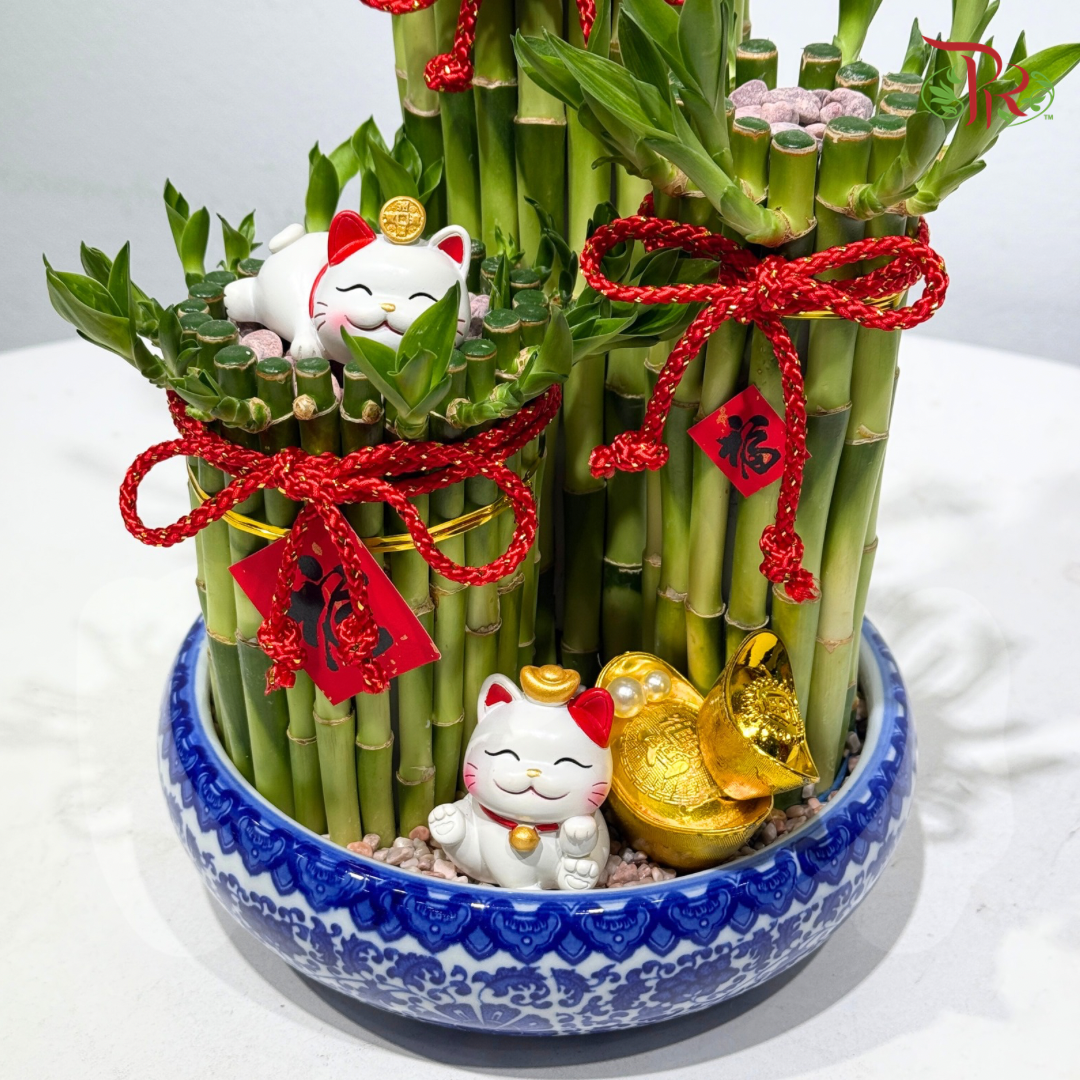 Triple Fortune Lucky Bamboo Arrangement《三福聚财 · 富贵竹摆设》
