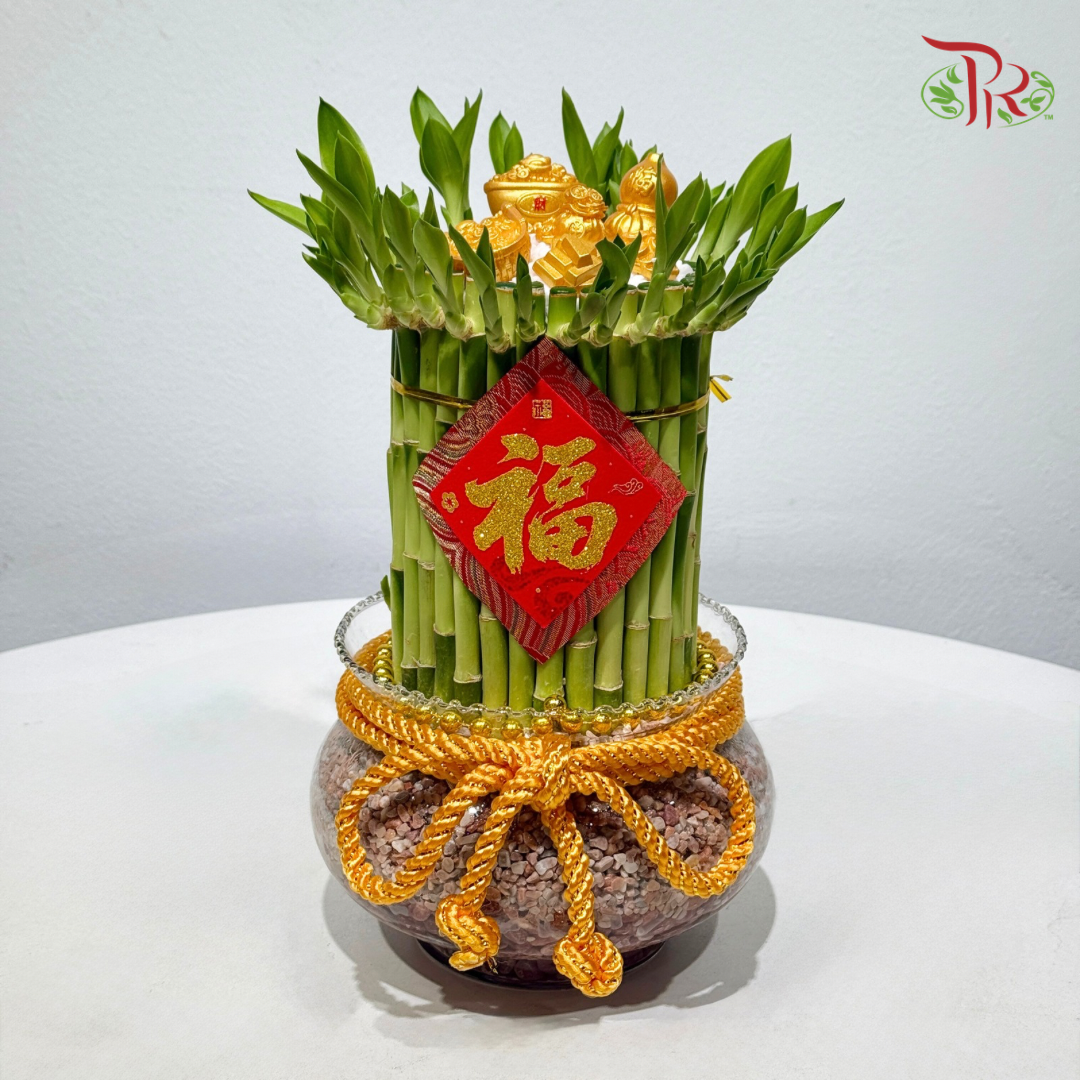Prosperity Lucky Bamboo Arrangement《富贵满堂 · 开运竹》