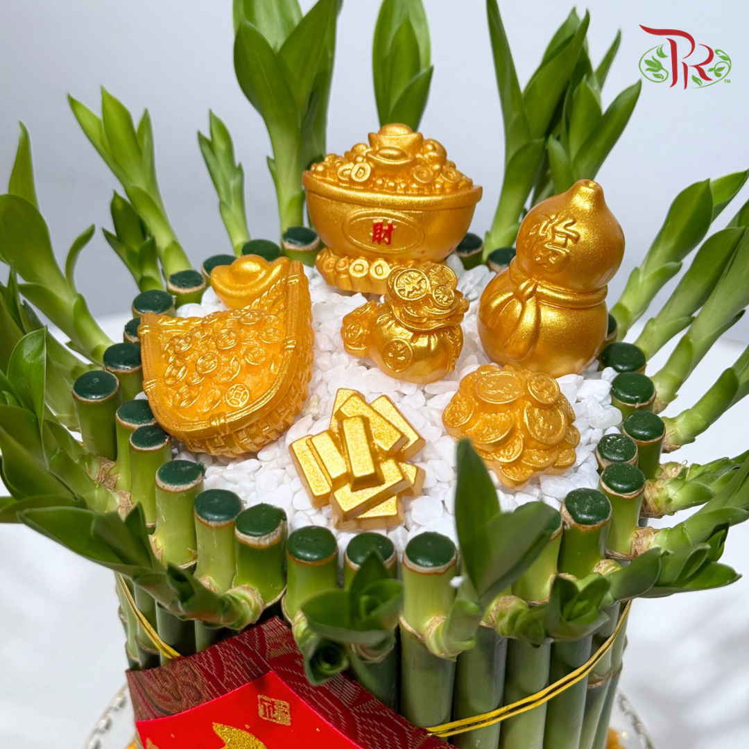Prosperity Lucky Bamboo Arrangement《富贵满堂 · 开运竹》