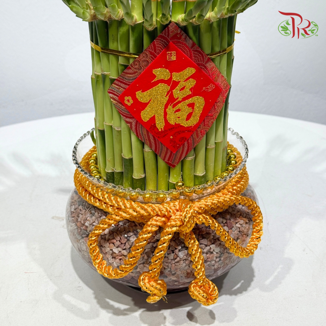 Prosperity Lucky Bamboo Arrangement《富贵满堂 · 开运竹》