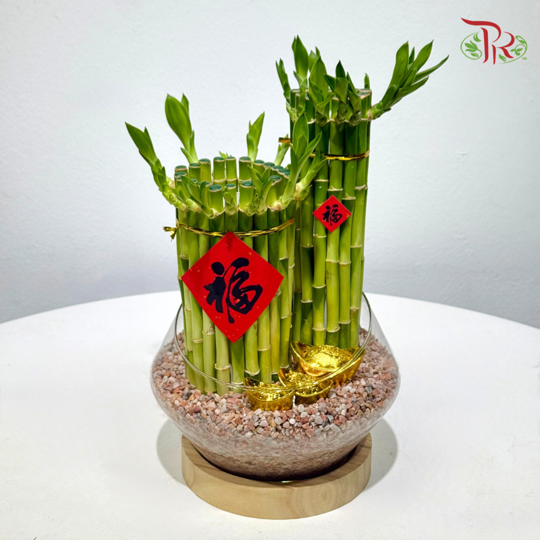 Fortune Twin Lucky Bamboo《福运双竹》