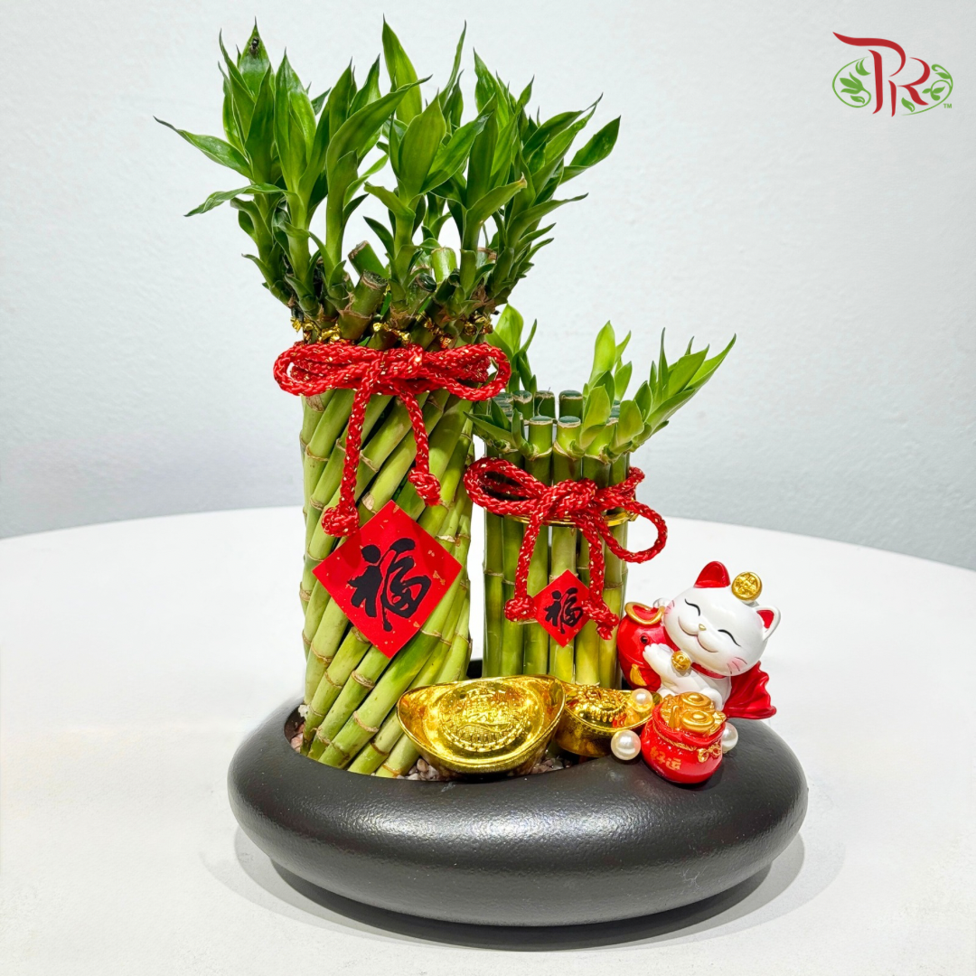 Prosperity Duo Lucky Bamboo《招财双福竹》