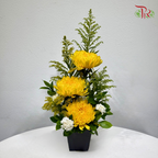 【4.4 Qing Ming】Peaceful Remembrance Prayer Flower Pot Arrangement