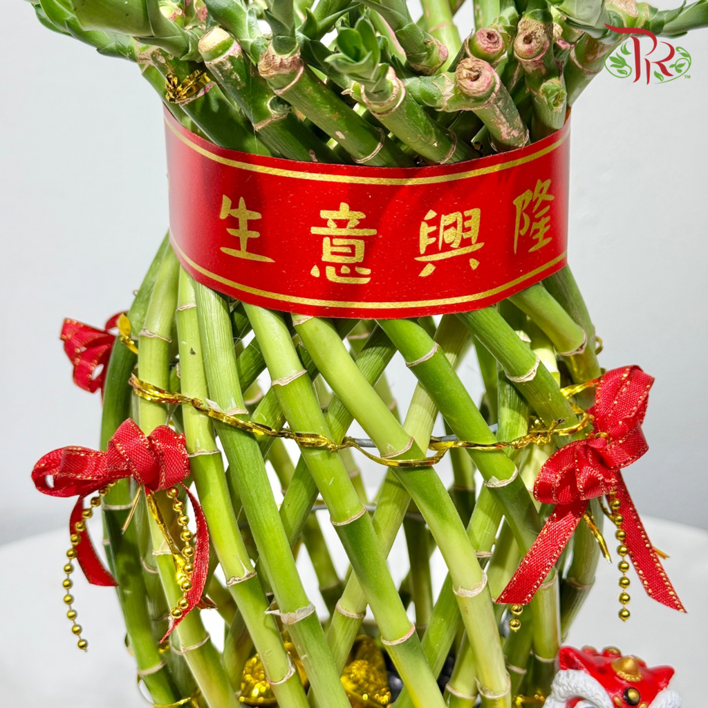 Prosperity Bamboo Opening Arrangement《富竹聚财 · 兴隆满堂》