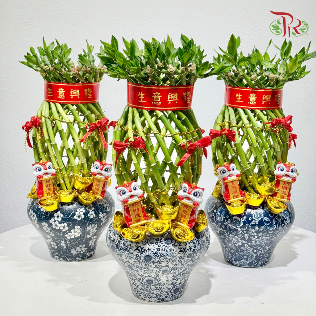 Prosperity Bamboo Opening Arrangement《富竹聚财 · 兴隆满堂》