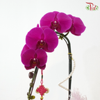 【RAYA 2026】Seri Anggerik Aidilfitri