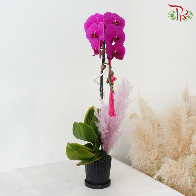 【RAYA 2026】Seri Anggerik Aidilfitri