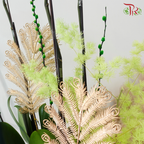 【RAYA 2026】Imperial Raya