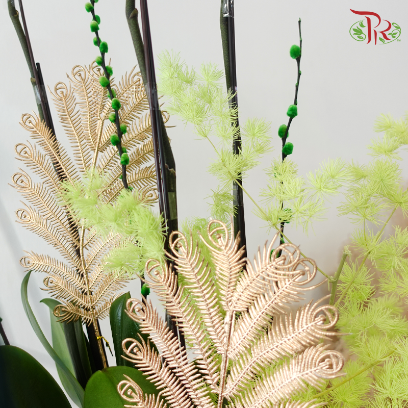 【RAYA 2026】Imperial Raya