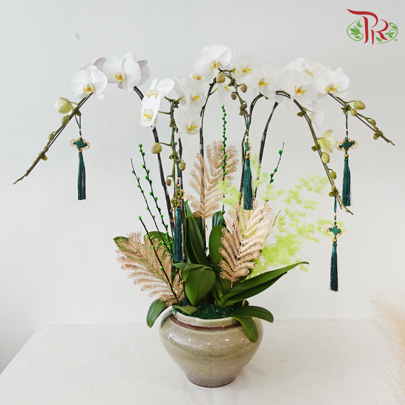 【RAYA 2026】Imperial Raya