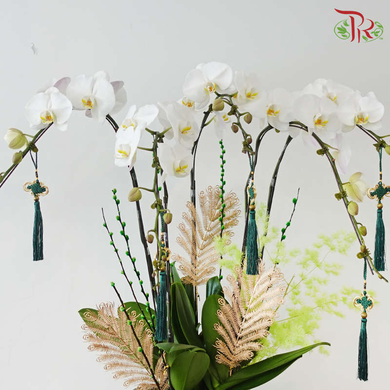 【RAYA 2026】Imperial Raya