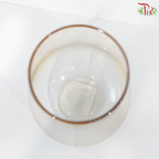 JX20/24 Water Drop Vase