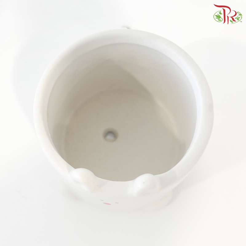 JZ-DW0279 Rabbit Pot (With Color Option)