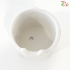 JZ-DW0279 Rabbit Pot (With Color Option)