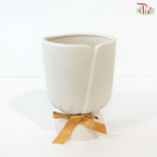 JZ-DW0285 Pot (With Color Option)