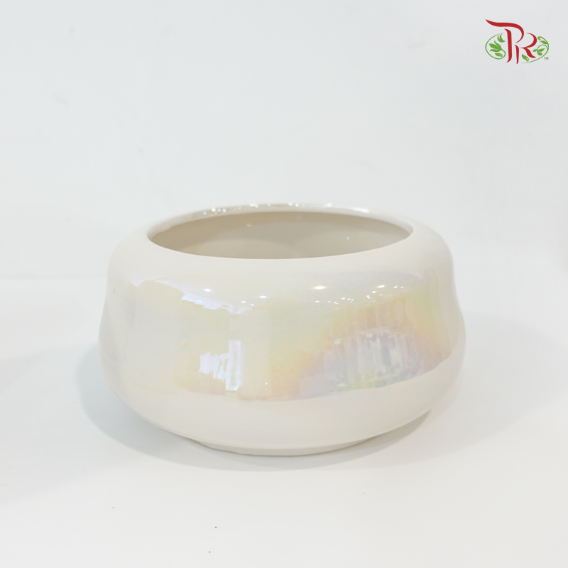JZ-DW24178 Pot